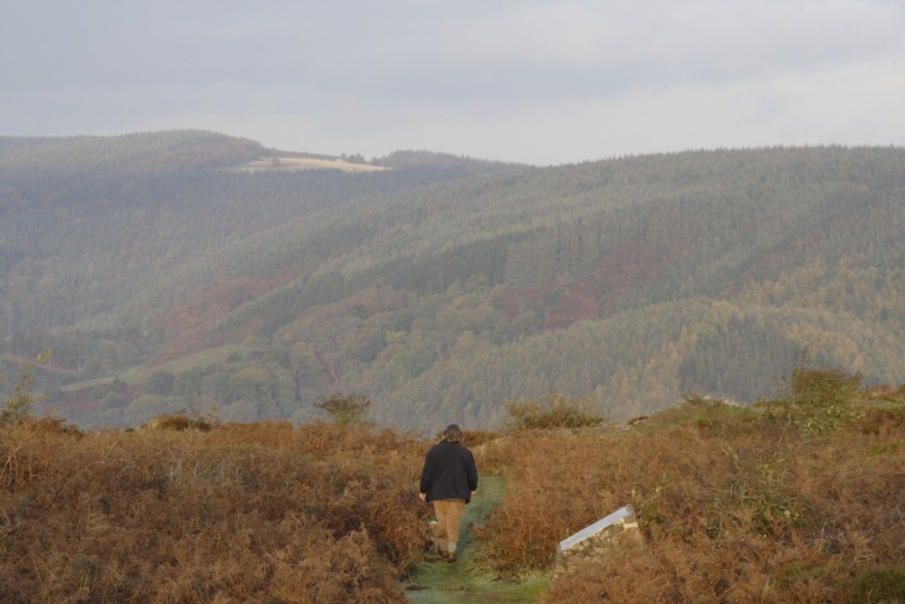 Grabbist from Bat's castle